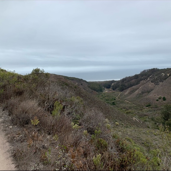 Meet your Posher, Tianna - Picture 1 of 1